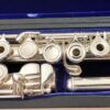 Powell Sonare PF-501 Flute, Offset G, 1-Year Warranty!