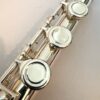 Powell Sonare PF-501 Flute, Offset G, 1-Year Warranty!