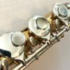 Trevor James Copper Alloy Alto Flute-Both Curved and Straight Headjoints, 1-Year Warranty!
