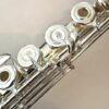 New Pearl PF-795 Elegante Handmade Flute, Vigore Series, Forza Cut, Offset G, C# Trill, D# Roller, High E Facilitator, Factory Warranty!