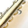 N. D. ”Tip” Lamberson Handmade White Gold Flute, Inline G, Soldered Tone Holes, C# Trill, 14k Gold Veneer Lipplate, 1-Year Warranty!