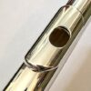 Altus A921 SE Alto Flute, Sterling Silver Curved and Straight Headjoints, Warranty!