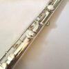 Altus A921 SE Alto Flute, Sterling Silver Curved and Straight Headjoints, Warranty!