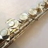 Altus A921 SE Alto Flute, Sterling Silver Curved and Straight Headjoints, Warranty!