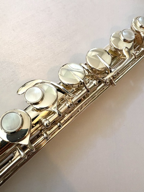 Altus A921 SE Alto Flute, Sterling Silver Curved and Straight Headjoints, Warranty!