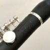 IMG_3524 Roy Seaman Storm Piccolo, Wave Cut Headjoint, Split E Mechanism, 1-Year Warranty!