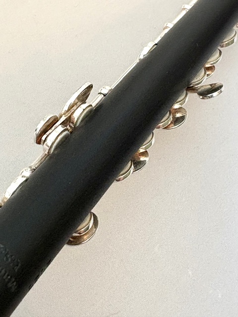 IMG_3526 Roy Seaman Storm Piccolo, Wave Cut Headjoint, Split E Mechanism, 1-Year Warranty!