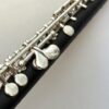 IMG_3527 Roy Seaman Storm Piccolo, Wave Cut Headjoint, Split E Mechanism, 1-Year Warranty!